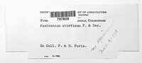 Image Associated With the Occurence